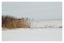 Load image into Gallery viewer, Excelsior Postcards