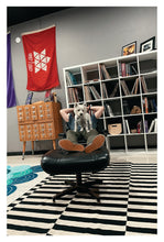 Load image into Gallery viewer, Excelsior Postcards